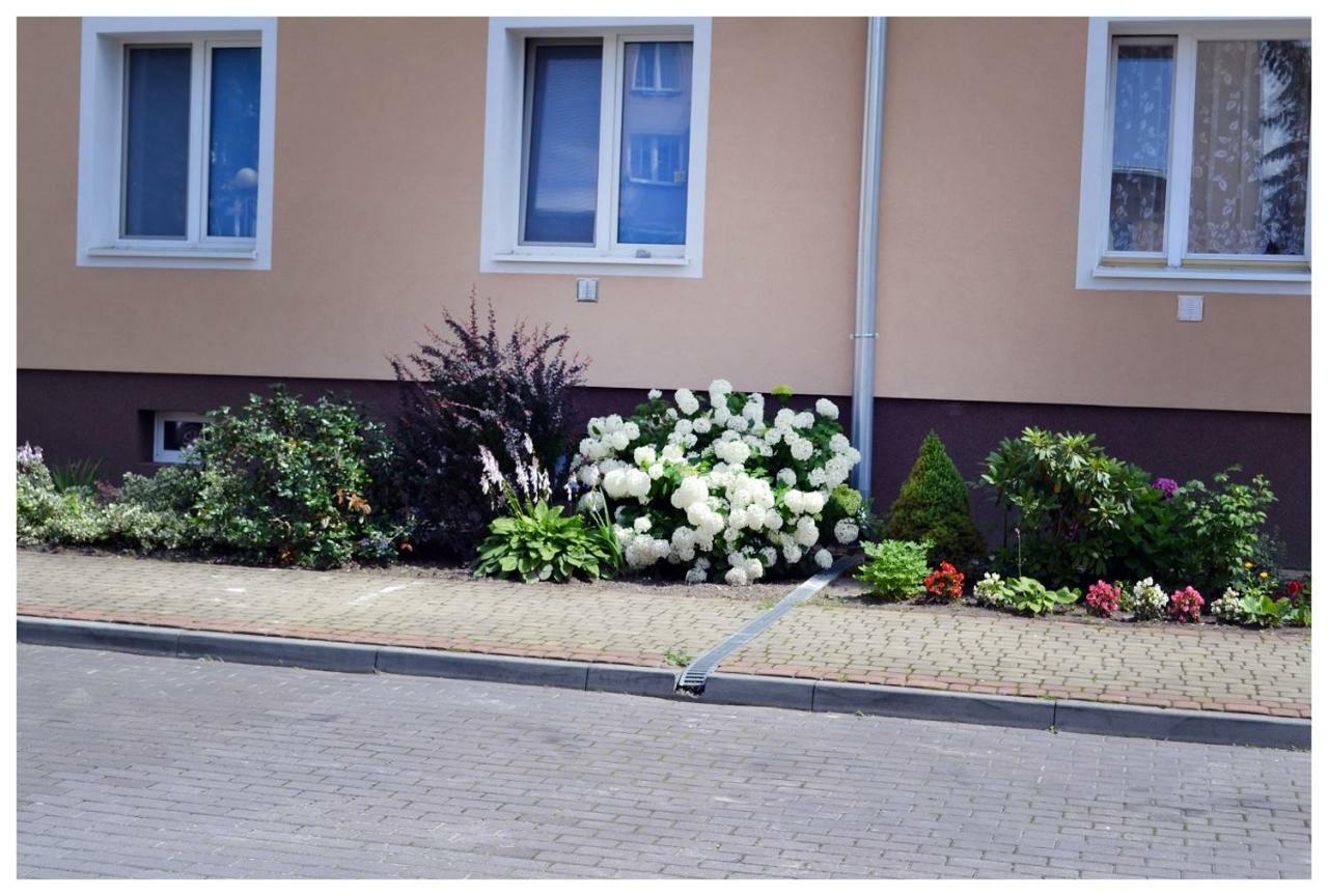 Color24 Apartament Stalowa Wola Kültér fotó